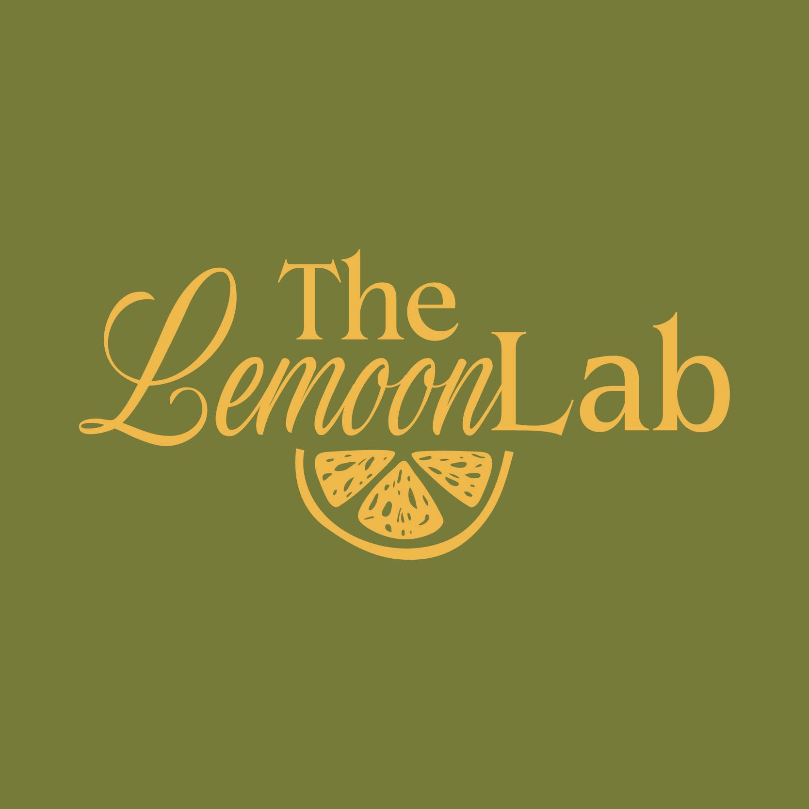 The Lemoon Lab